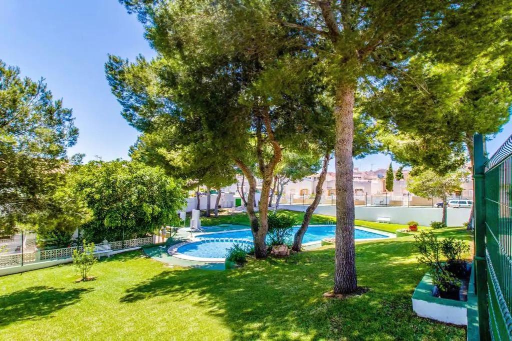Apartament Casa Del Gato Rojo , Communal Swimming Pool , Terrace With Barbecue Torrevieja Exterior photo