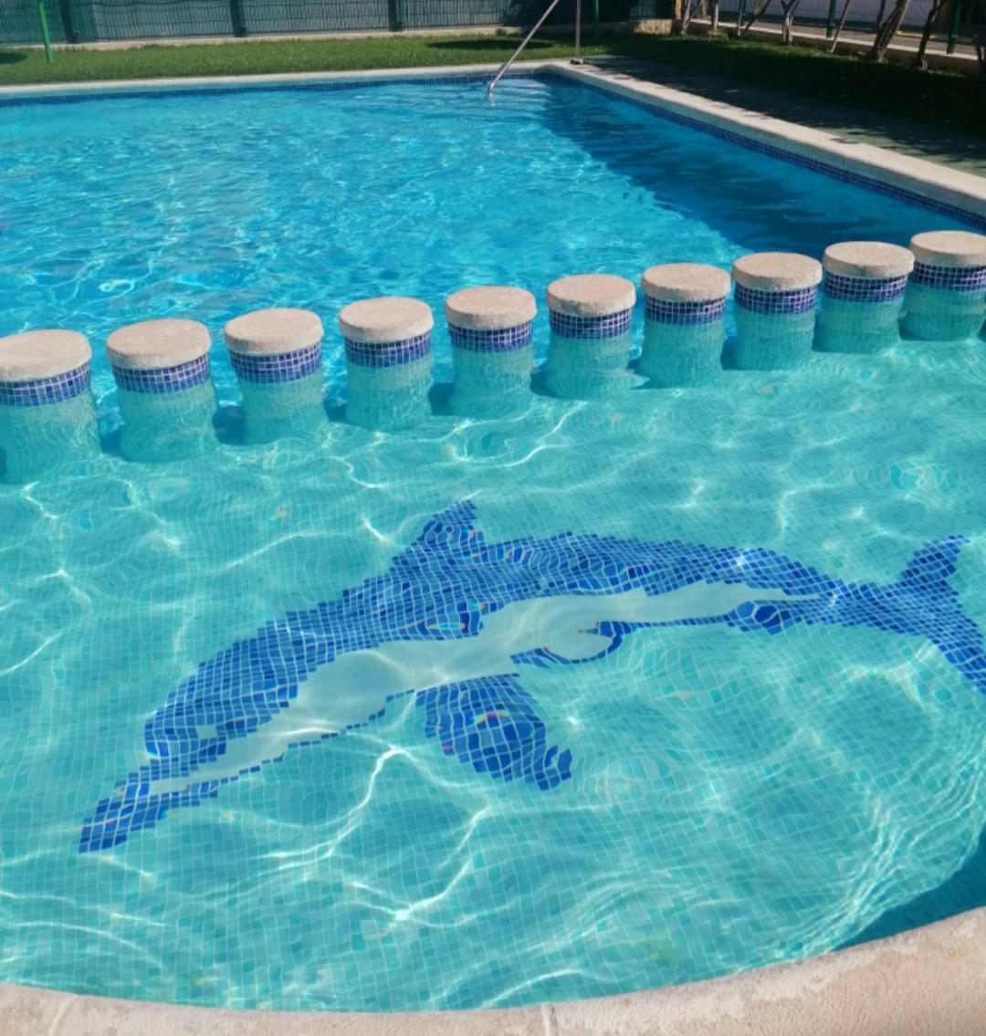 Apartament Casa Del Gato Rojo , Communal Swimming Pool , Terrace With Barbecue Torrevieja Exterior photo